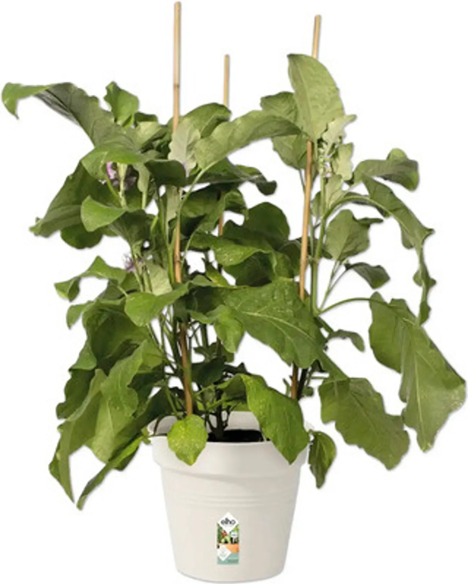 elho green basics Anzuchttopf Ø 21 cm – Farbe Baumwolle